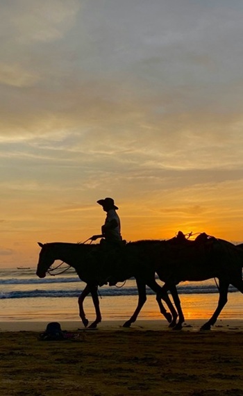 drei Pferde mit einem Reiter als Silhouette bei Sonnenuntergang am Strand reitend