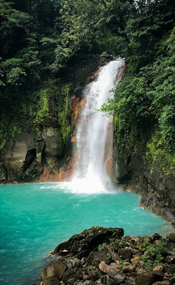 zwischen üppigen Grün ergießt sich Wasserfall - zwischen üppigen Grün ergießt er sich in ein natürliches, azurblaues Wasserbecken